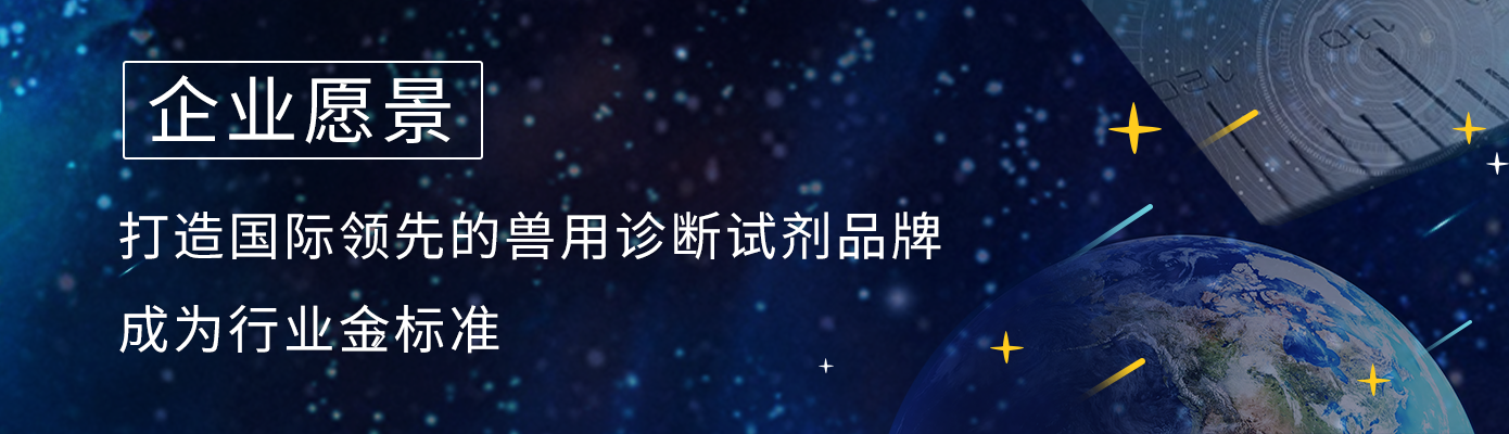 企业愿景.png