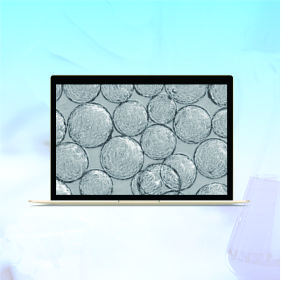 CellDex1球状载体