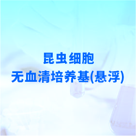昆虫细胞无血清培养基(悬浮)